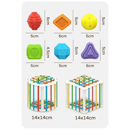 Zentoq Box - Educational Box
